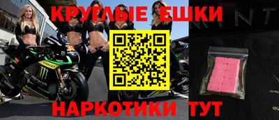 гашик Можга