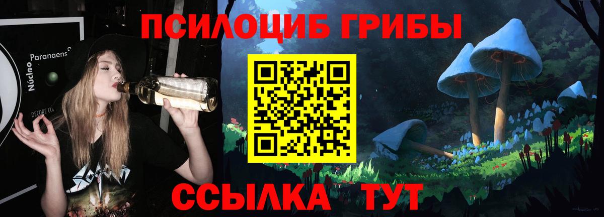 Домодедово  Псилоцибиновые грибы мицелий  Галлюциногенные грибы MAGIC MUSHROOMS  Вход с VPN 